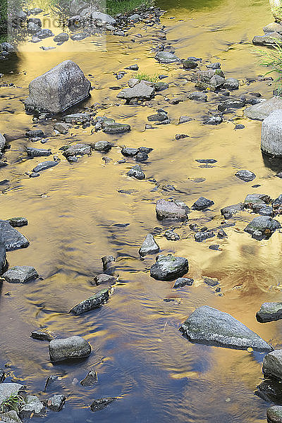 Wasserrückflüsse in einem Fluss mit Steinen