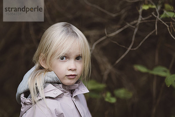 Porträt eines starren kleinen Mädchens im Wald