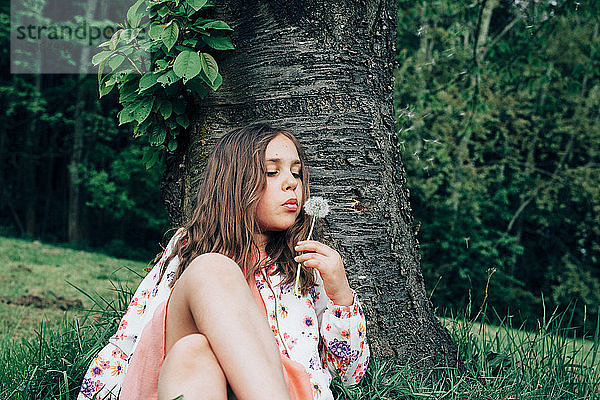 Porträt eines Mädchens  das auf einer Wiese sitzt und einen Pusteblumenball bläst