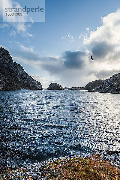 Norwegen  Lofoten  Nusfjord  Küste und Meer