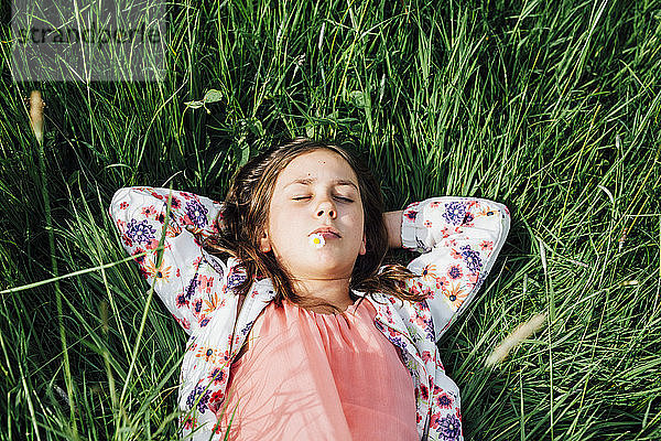 Porträt eines sich auf einer Wiese entspannenden Mädchens mit Gänseblümchen im Mund