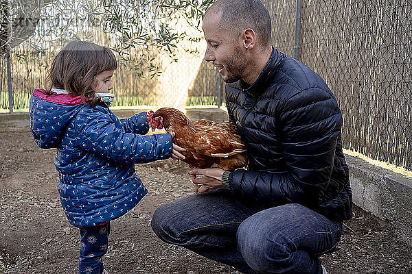 Vater und kleine Tochter mit Huhn im Hühnerhof
