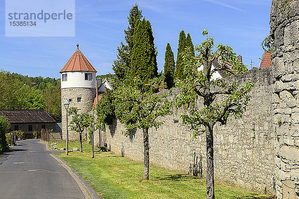 Deutschland  Bayern  Franken  Unterfranken  Eibelstadt  Stadtmauer mit Turm