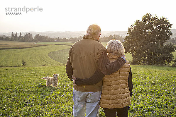 Rückenansicht eines glücklichen älteren Paares  das Arm in Arm auf einer Wiese steht und den Sonnenuntergang genießt