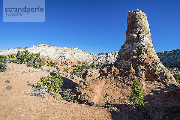 USA  Utah  Steinmonolith im Kodakchrome Basin State Park