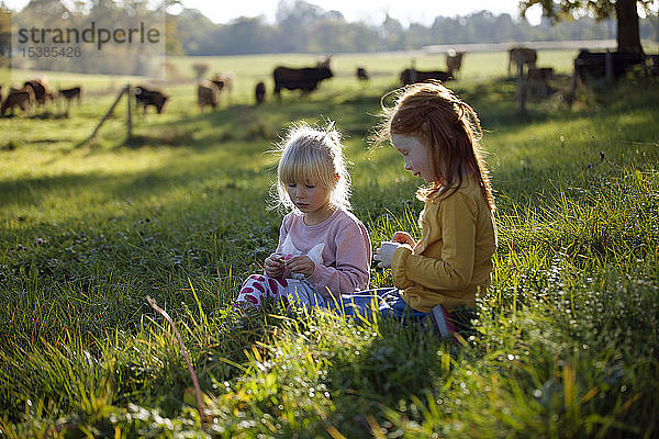 Zwei Schwestern sitzen auf einem ländlichen Feld