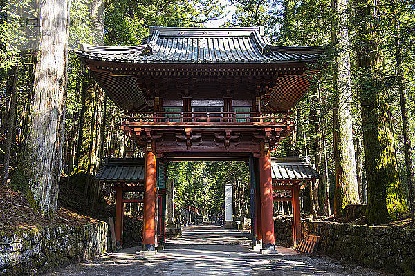 Japan  Nikko  Eingangstor zum Futarasan-Heiligtum