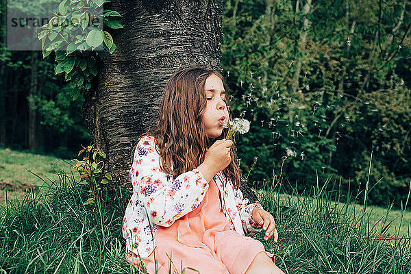 Porträt eines Mädchens  das auf einer Wiese sitzt und einen Pusteblumenball bläst