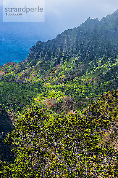 USA  Hawaii  Kalalau Aussichtspunkt über der Küste Napalis vom Kokee State Park aus