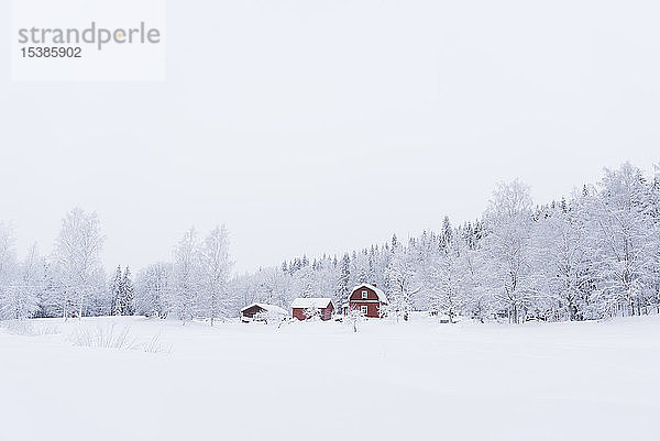 Finnland  Kuopio  Bauernhaus in Winterlandschaft