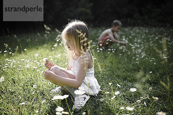 Zwei Kinder pflücken Blumen auf dem Feld