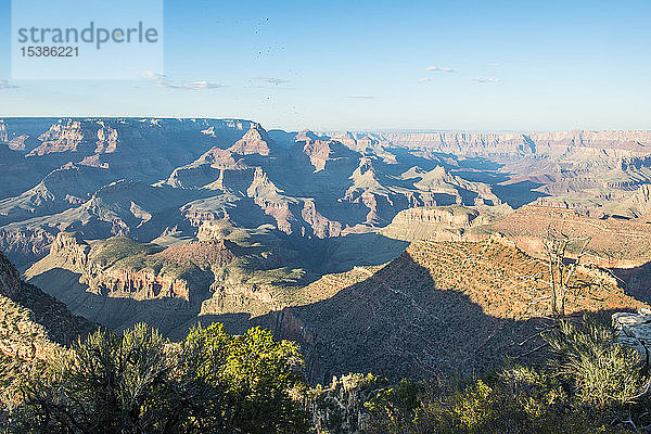 USA  Arizona  Blick über den Grand Canyon im Nachmittagslicht
