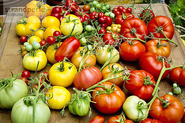 Haufen verschiedener Tomatensorten