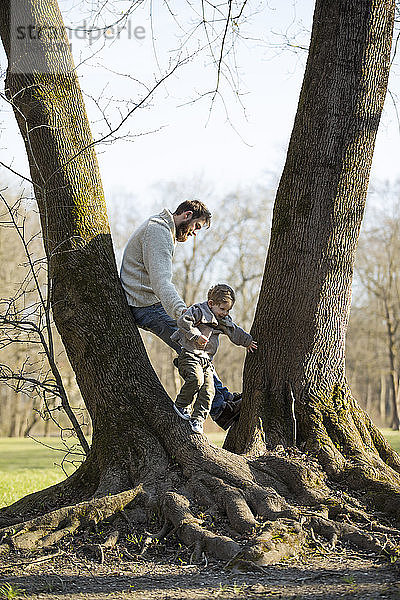 Vater spielt mit dem Sohn an einem Baum im Park