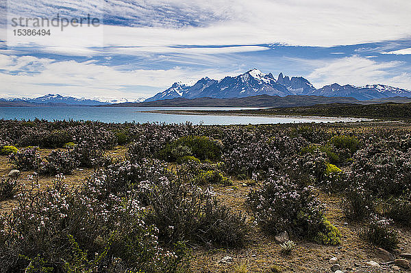 Chile  Patagonien  Nationalpark Torres del Paine  landschaftlich reizvoll
