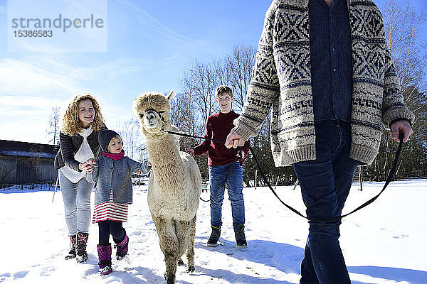 Familie geht im Winter mit Alpaka auf einem Feld spazieren