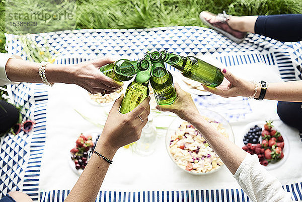 Draufsicht auf Frauen  die bei einem Picknick im Park an Bierflaschen klirren