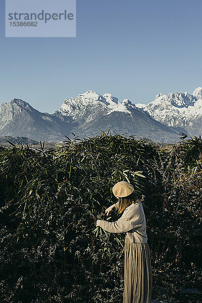 Italien  Limana  modische Frau beim Zweigeschneiden im Garten