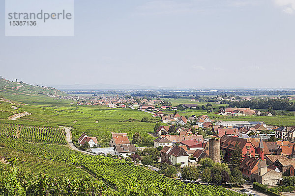 Frankreich  Elsass  Kaysersberg  Weinberge