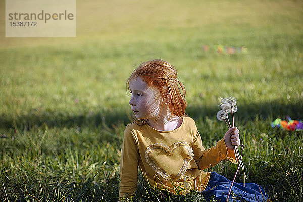 Rothaariges Mädchen sitzt mit Pusteblume im Feld