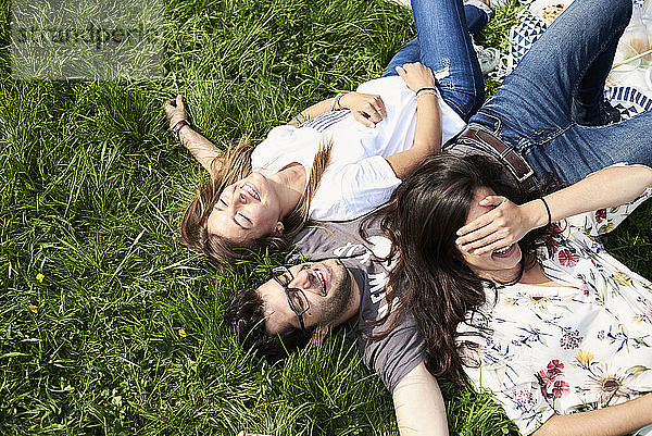 Draufsicht auf glückliche Freunde  die auf einer Wiese im Park liegen