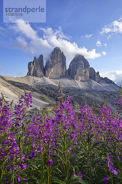 Italien  Sextner Dolomiten  Drei Zinnen  Naturpark Drei Zinnen  Unesco-Weltnaturerbe