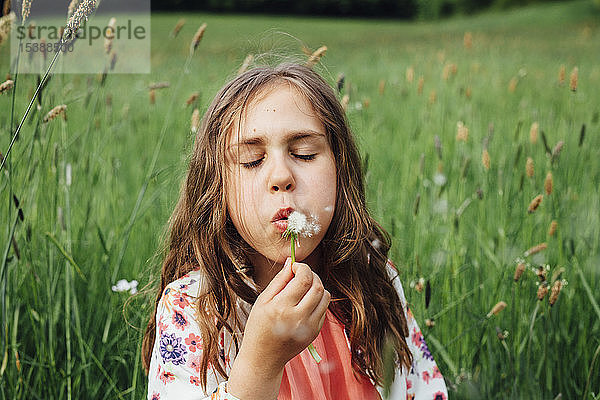 Porträt eines Mädchens  das auf einer Wiese einen Pusteblumenball bläst