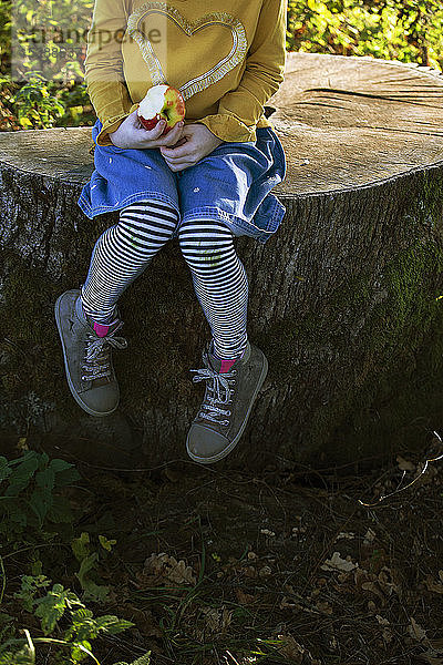 Niedriger Teil eines Mädchens mit einem Apfel auf einem Baumstumpf sitzend