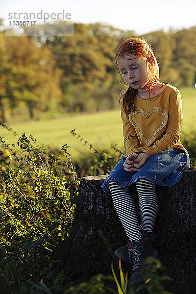 Rothaariges Mädchen sitzt auf einem Baumstumpf