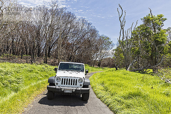 USA  Hawaii  Big Island  Mauna Loa Road  Jeep