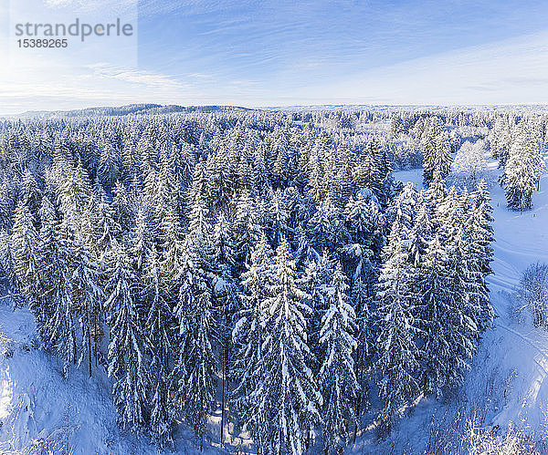 Deutschland  Bayern  Luftaufnahme über verschneiten Fichtenwald bei Geretsried