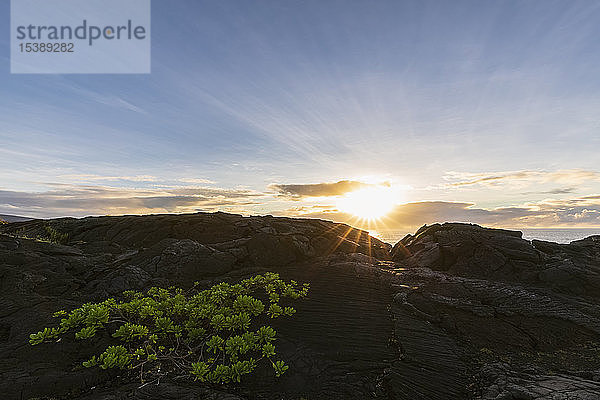 USA  Hawaii  Big Island  Volcanoes National Park  Lava-Strukturen bei Sonnenaufgang