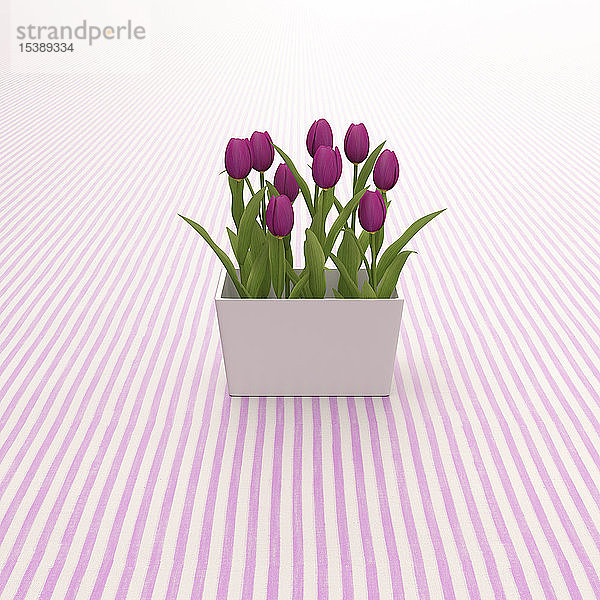 3D-Rendering  Rosa Tulpen auf gestreiftem Hintergrund