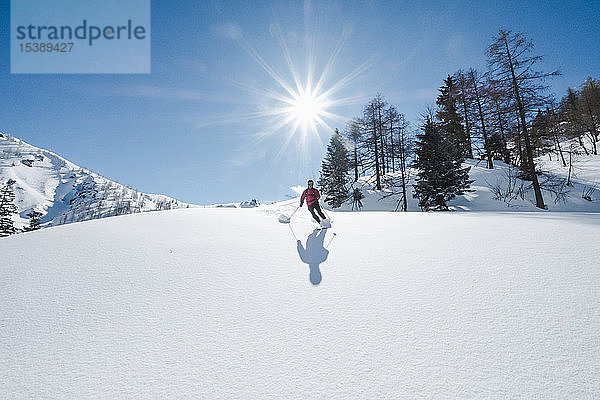 Deutschland  Bayern  Berchtesgaden  Jenner  Skilanglauf gegen die Sonne