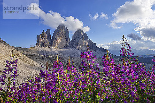 Italien  Sextner Dolomiten  Drei Zinnen  Naturpark Drei Zinnen  Unesco-Weltnaturerbe