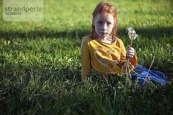Porträt eines auf dem Feld sitzenden Mädchens mit Pusteblume