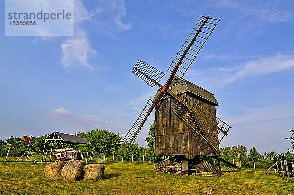Deutschland  Sachsen-Anhalt  Windmühle in Gallin