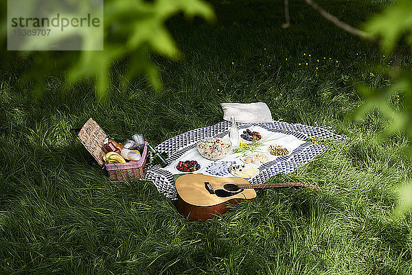 Gesunde Picknick-Snacks und eine Gitarre auf einer Decke in einem Park