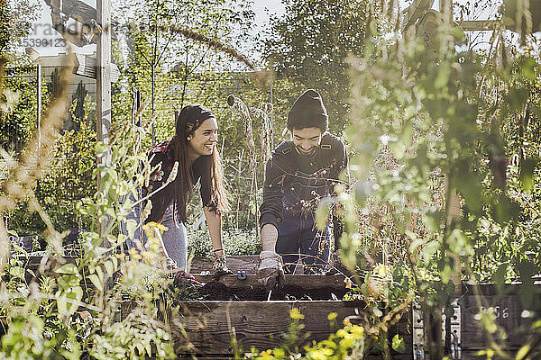 Glückliches Paar gärtnert gemeinsam im Stadtgarten