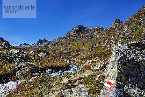 Österreich  Vorarlberg  Silvretta  Klostertal  Weg und Gebirgsbach