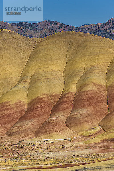 USA  Oregon  John Day Fossil Beds National Monument  Bemalte Hügel