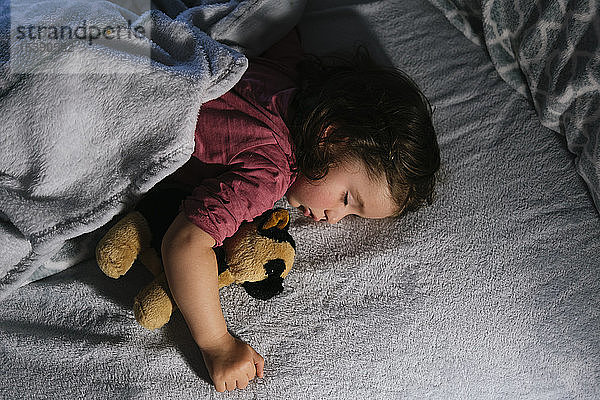 Kleinkind Mädchen schläft im Bett mit einem Stoffhund