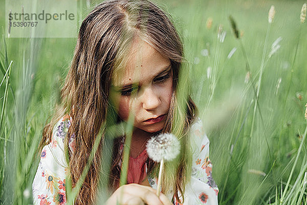 Porträt eines unglücklichen Mädchens  das sich auf einer Wiese eine Pusteblume ansieht