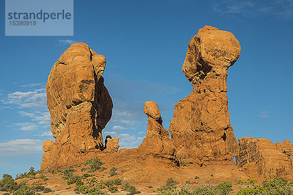USA  Utah  Arches-Nationalpark  Formationen aus rotem Sandstein