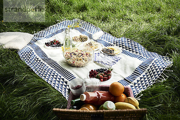 Gesunde Picknick-Snacks auf einer Decke im Gras