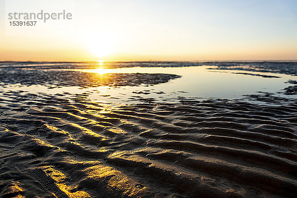 Deutschland  Nordsee  Cuxhaven  Wattenmeer  Strand