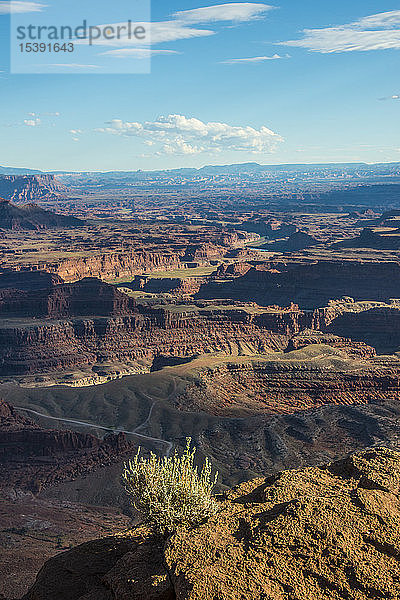USA  Dead Horse Point State Park  Blick über die Canyonlands und den Colorado-Fluss