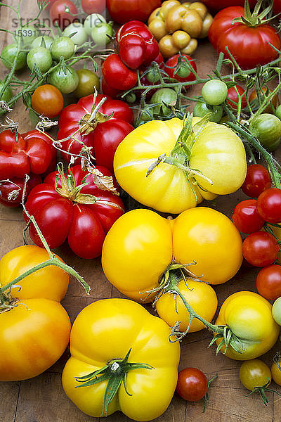 Haufen verschiedener Tomatensorten
