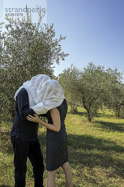 Italien  Toskana  Paar im Olivenhain  das sich unter einem Tuch küsst