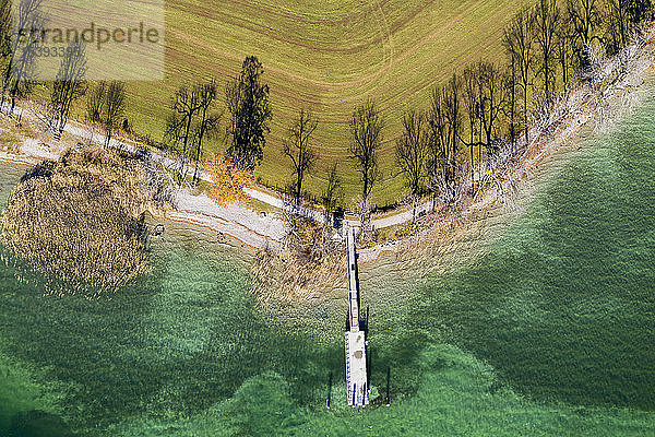 Deutschland  Bayern  Kaltenbrunn  Tegernsee  Schatten der Bäume am Seeufer und am Steg  Luftaufnahme